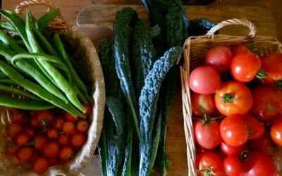 How to start your own organic veg patch (with lunch!)