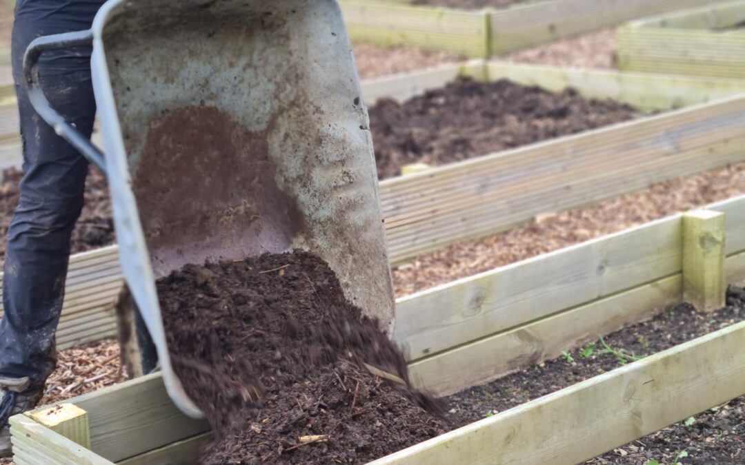 Homestead Kitchen Garden update – what can you be planting in April?